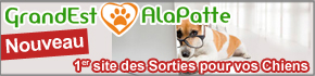 1er site des sorties pour chiens GrandEstAlaPatte.xyz