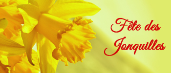 Idée Cadeau Fête des Jonquilles Gérardmer