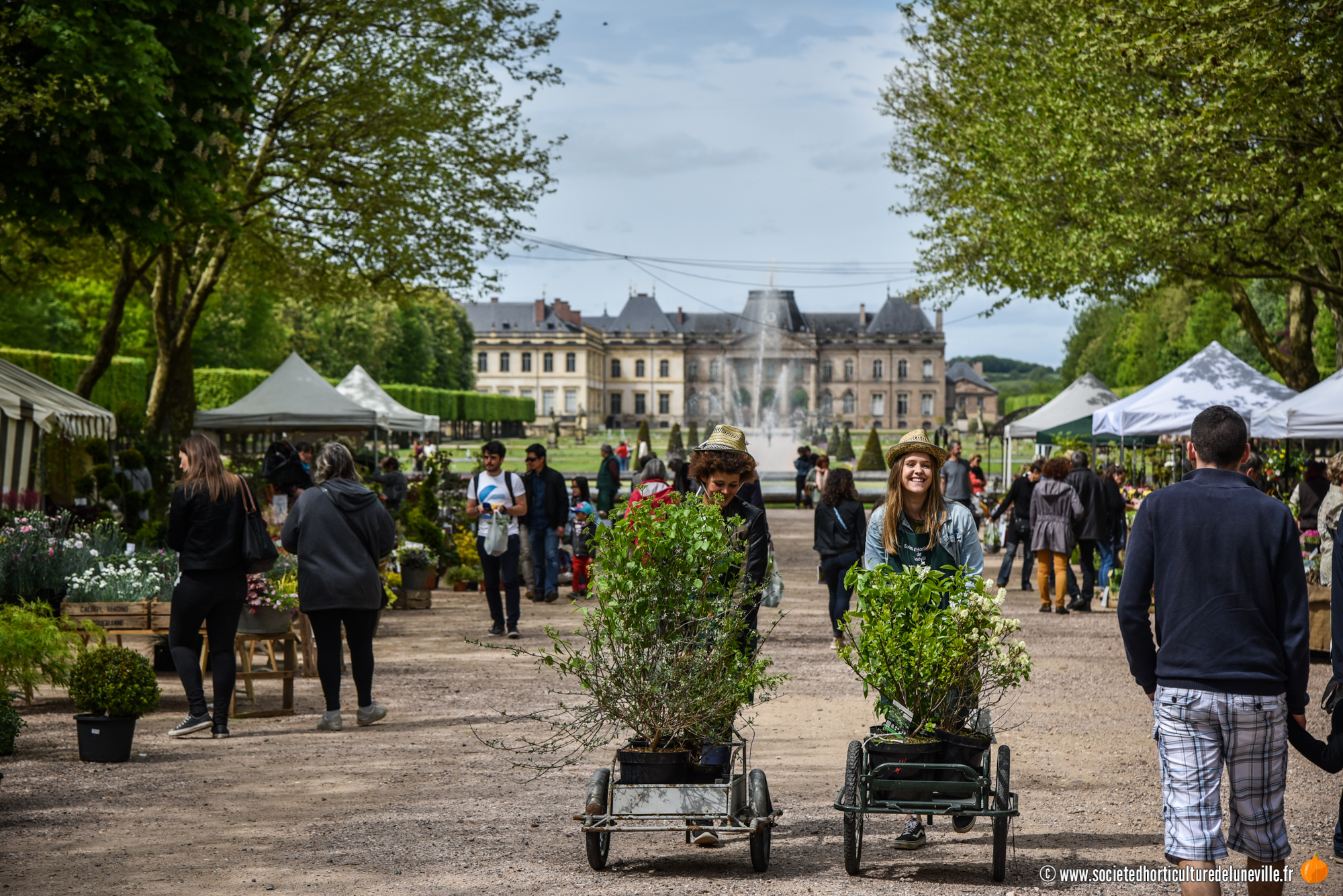 Fte des Plantes Lunville 2024