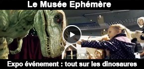 Muse phmre dinosaures