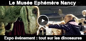 Muse phmre dinosaures