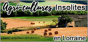 Agricultures insolites en Lorraine