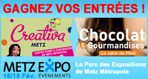 Jeu Metz Expo