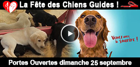 Chiens Guides Woippy