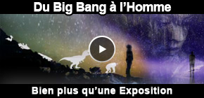 expo big bang à l'homme