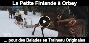 Balade en traîneau tiré par des chevaux - Chemins du Nord - Balades en  traîneau tiré par des rennes et des chiens - Orbey - Alsace