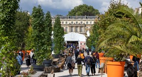 Livre sur la Place Nancy