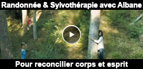 Sylvothrapie Vosges