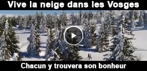 Neige dans les Vosges